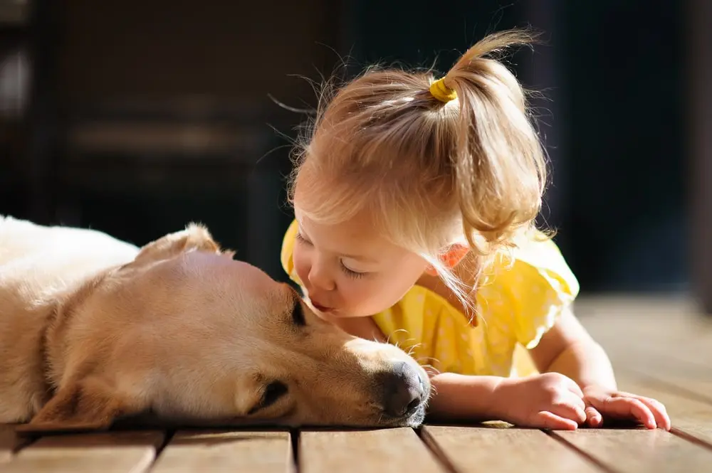 {Pet care specialist}